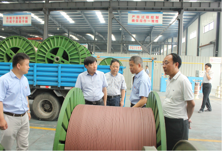 市委副書記賀家平蒞臨安邦視察調研(圖1) 市委副書記賀家平蒞臨安邦視察調研(圖1)