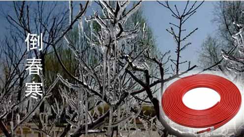 電伴熱帶應(yīng)對(duì)倒春寒 電伴熱帶應(yīng)對(duì)倒春寒