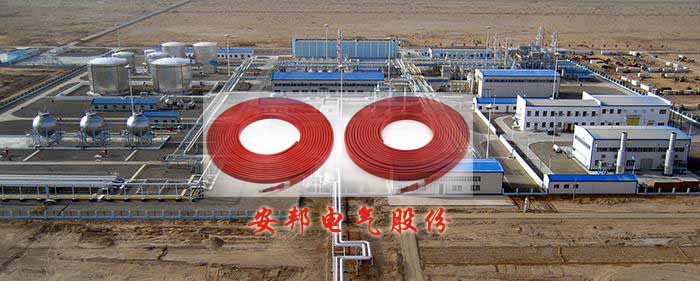 塔里木油田電伴熱天然氣防結露系統(圖1) 塔里木油田電伴熱天然氣防結露系統(圖1)
