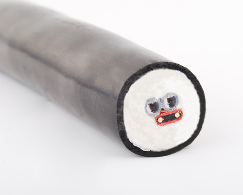 CEMS電廠煙氣采樣復合管溫控安裝說明(圖1) CEMS電廠煙氣采樣復合管溫控安裝說明(圖1)