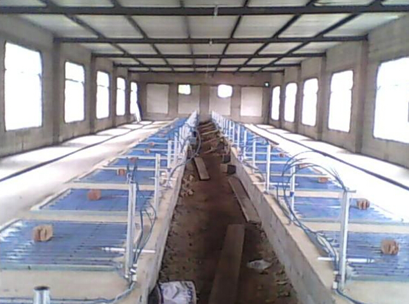 安邦集團(tuán)發(fā)熱電纜用于養(yǎng)殖場(chǎng)保溫室采暖安裝示意圖(圖1) 安邦集團(tuán)發(fā)熱電纜用于養(yǎng)殖場(chǎng)保溫室采暖安裝示意圖(圖1)