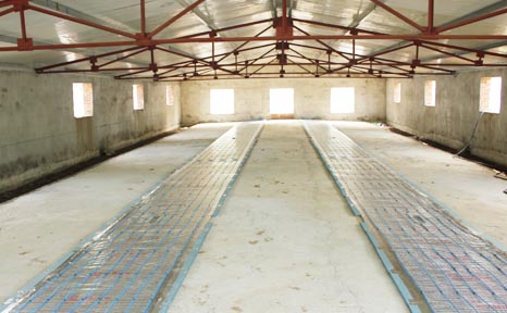 正大集團滁州分公司豬仔保溫電采暖(圖3) 正大集團滁州分公司豬仔保溫電采暖(圖3)